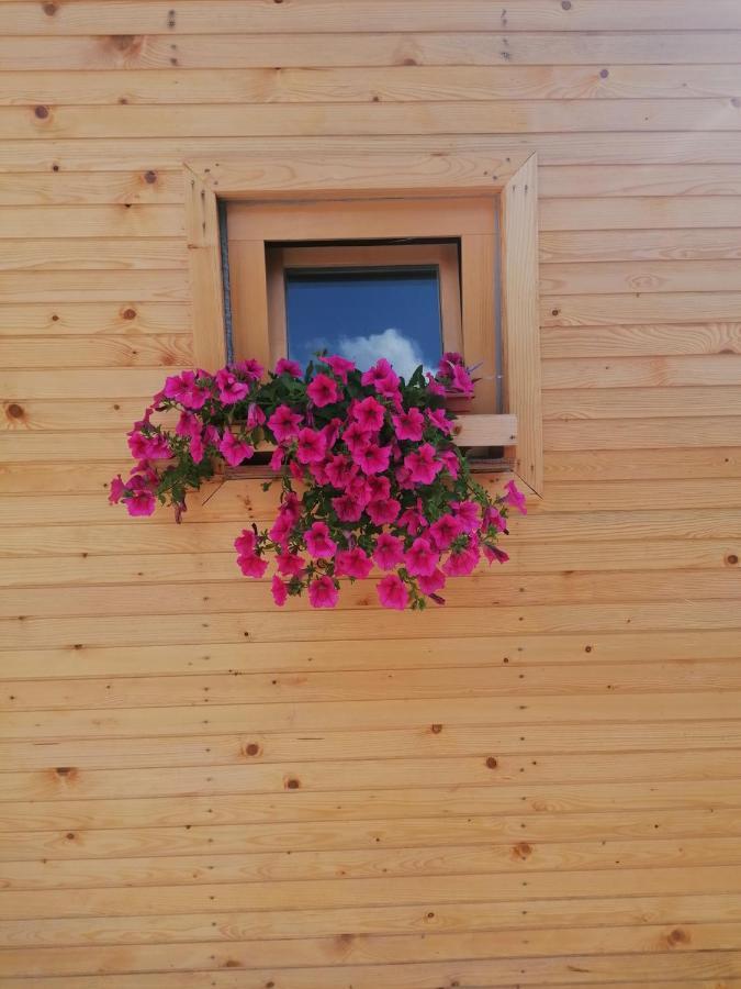 Hiska Zeleni Raj Villa Podnart Ngoại thất bức ảnh