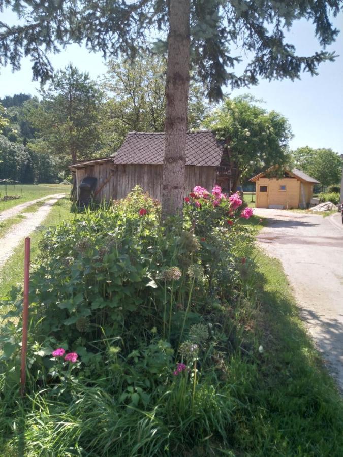 Hiska Zeleni Raj Villa Podnart Ngoại thất bức ảnh